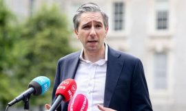 Slower growth in Irish economy after trade deal – Harris
