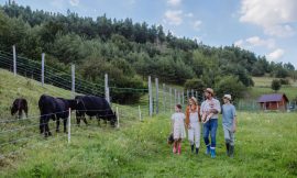 Cattle Correcting Higher on Friday Following Thursday’s Month End Selling