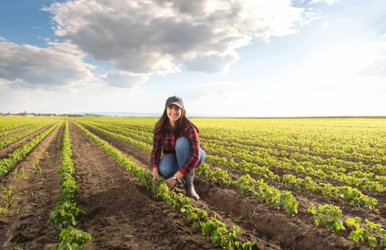Read more about the article Soybeans Popping Higher on Monday’s Midday