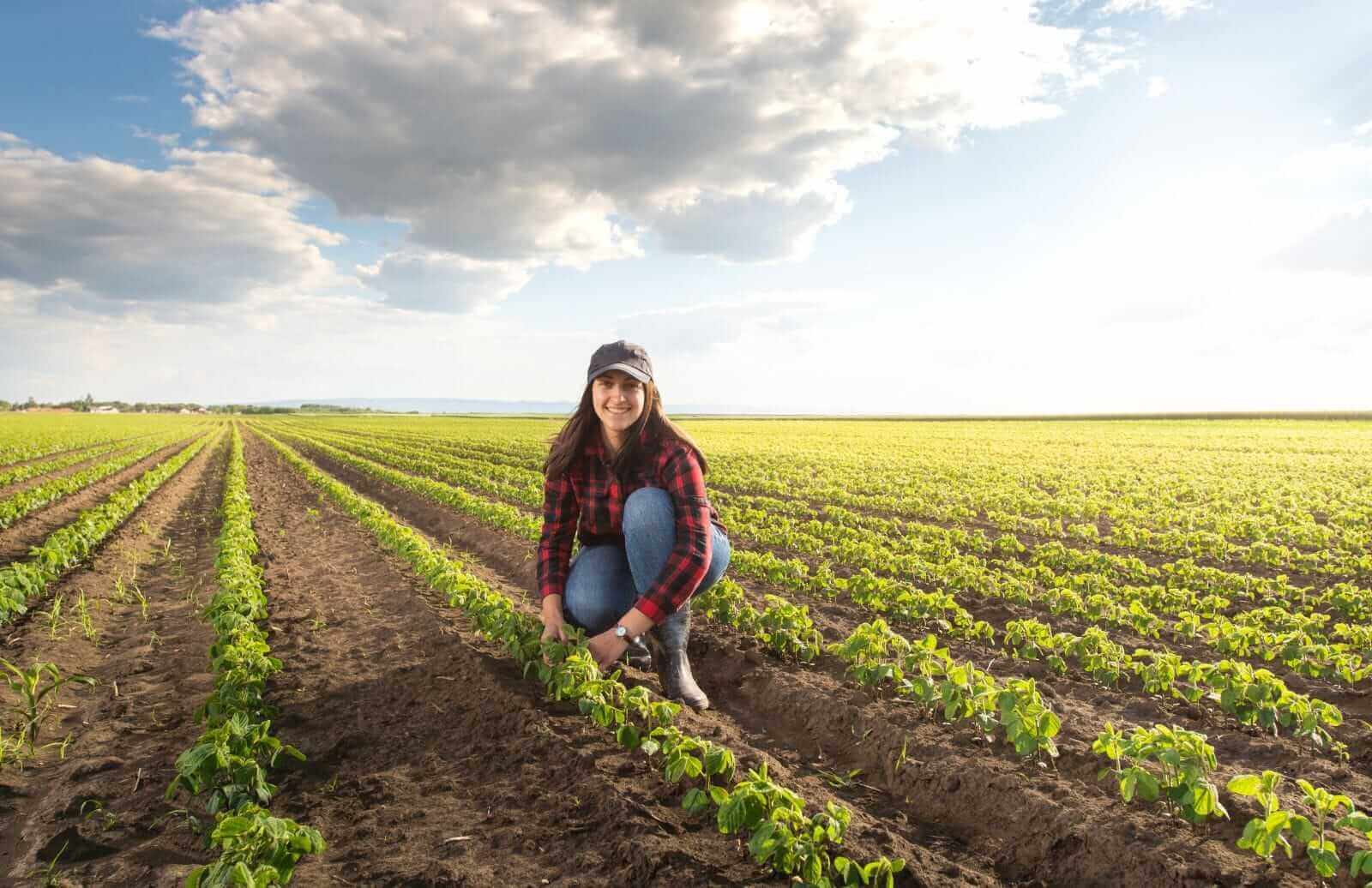 soybeans-popping-higher-on-monday’s-midday