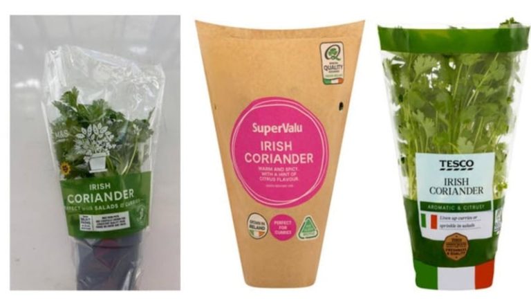 Read more about the article Coriander and hummus products recalled over listeria
