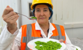 Hull taster tests 32 plates of peas a day and eats more for tea