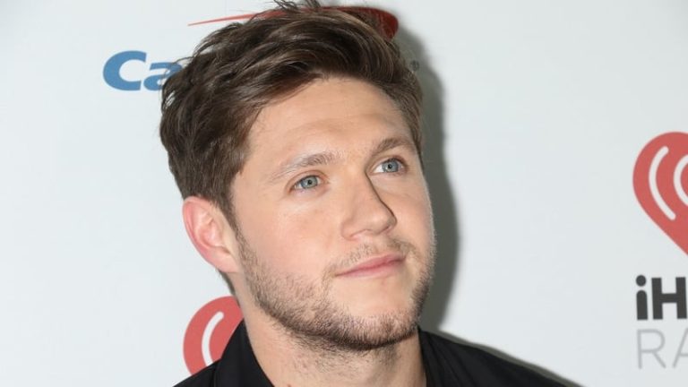 Read more about the article Niall Horan pays himself €2.2m on back of sell out tour