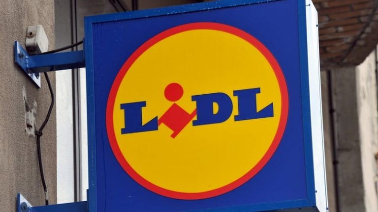 Read more about the article Dublin Lidl store among July closures over food safety