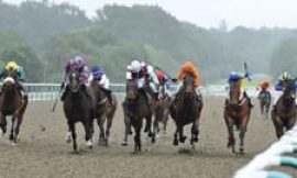 Horse races cancelled in protest against proposed betting tax rise
