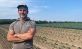 Herefordshire farmer sees broccoli harvest hit by heatwave and lack of water