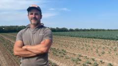 herefordshire-farmer-sees-broccoli-harvest-hit-by-heatwave-and-lack-of-water