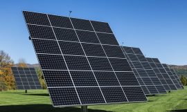 Coolmore Stud backed solar farm stalled by two appeals