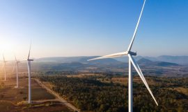 Calls for Govt to use Budget to accelerate renewables