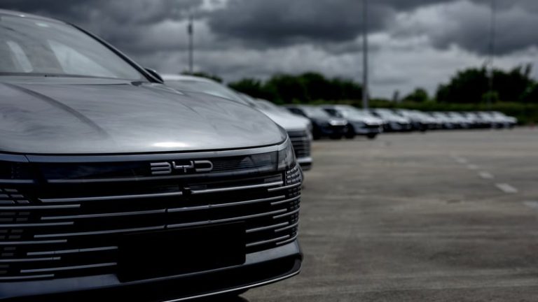 Read more about the article European car sales rise in July, BYD ahead of Tesla
