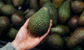 Tesco trials avocado ripeness scanners in five stores