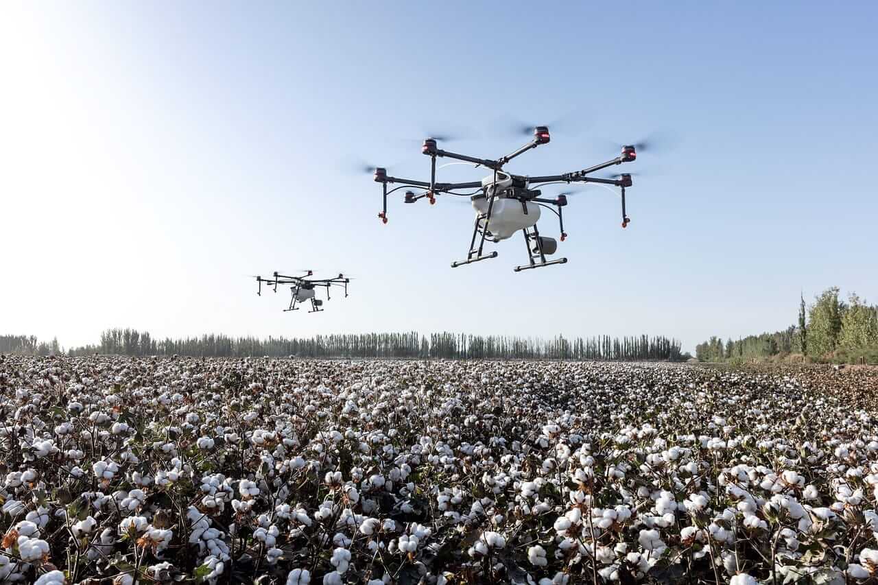 cotton-trading-with-slight-gains-at-midday