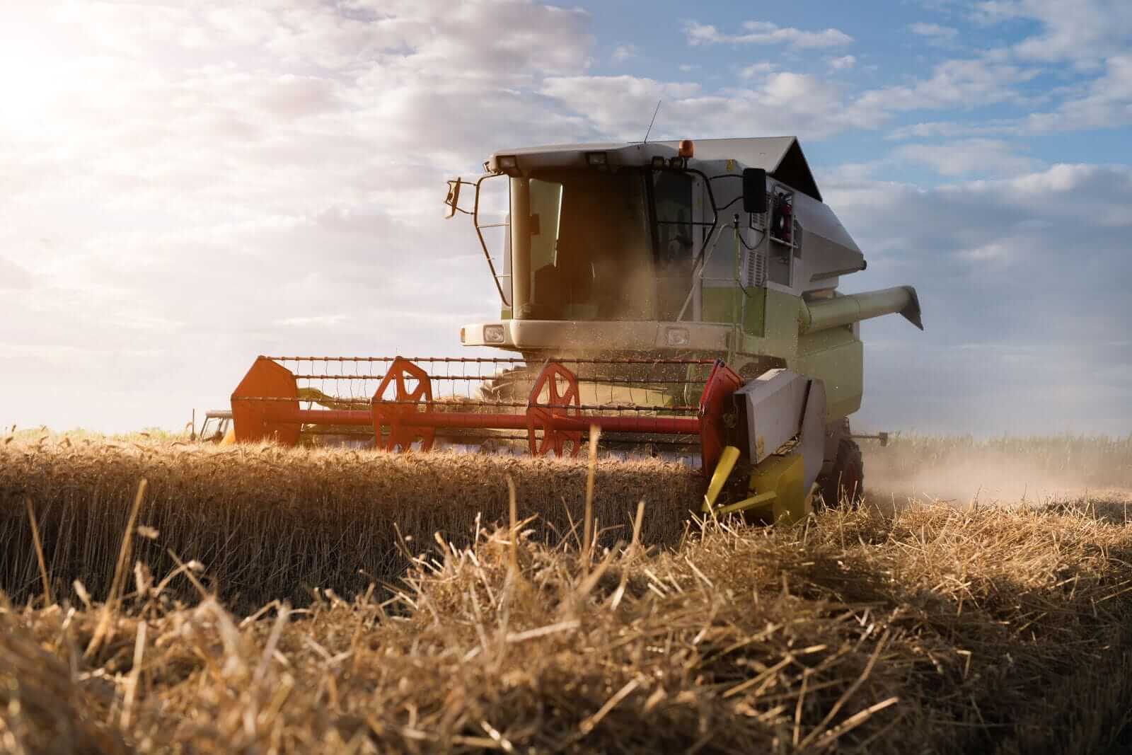 wheat-losses-continuing-at-thursday’s-midday