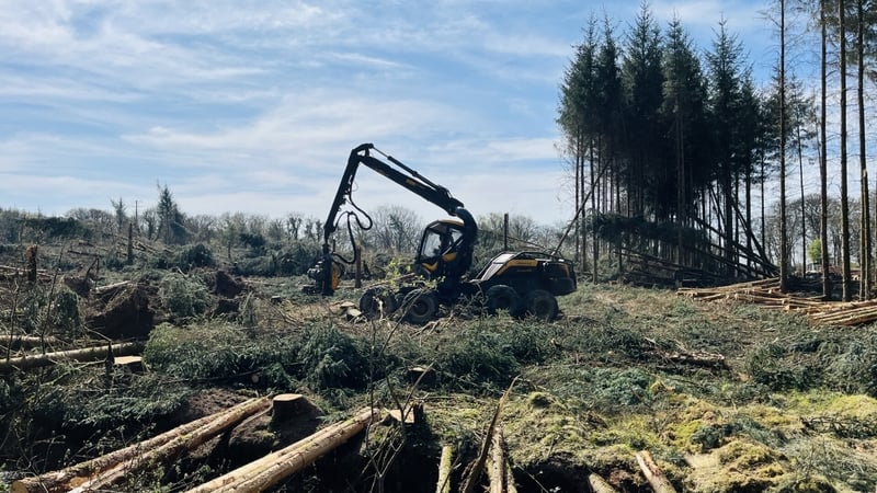 hsa-to-target-forestry-sector-in-new-safety-focus