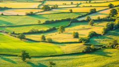 Read more about the article Farmers feel abandoned as Defra axes thousands of green contracts