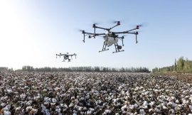 Cotton Close with Modest Tuesday Gains