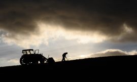 Trapped on the farm: how pension gap keeps older farmers at work
