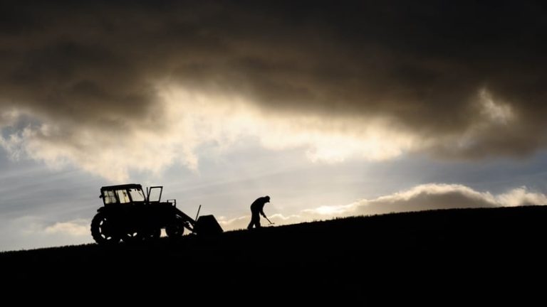 Read more about the article Trapped on the farm: how pension gap keeps older farmers at work