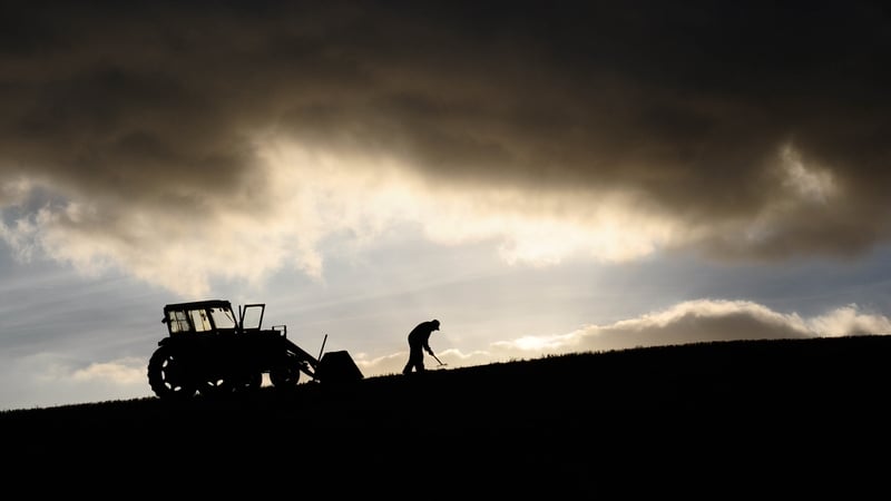 trapped-on-the-farm:-how-pension-gap-keeps-older-farmers-at-work