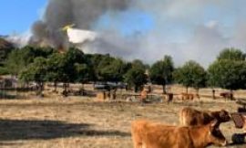Spain counts the cost of “nightmare” wildfire summer