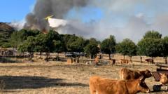 spain-counts-the-cost-of-“nightmare”-wildfire-summer
