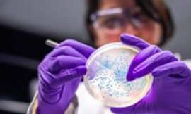 The bacteria turning waste plastic into painkillers