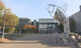 ‘Ludicrous’ that professors can’t be appointed at ATU