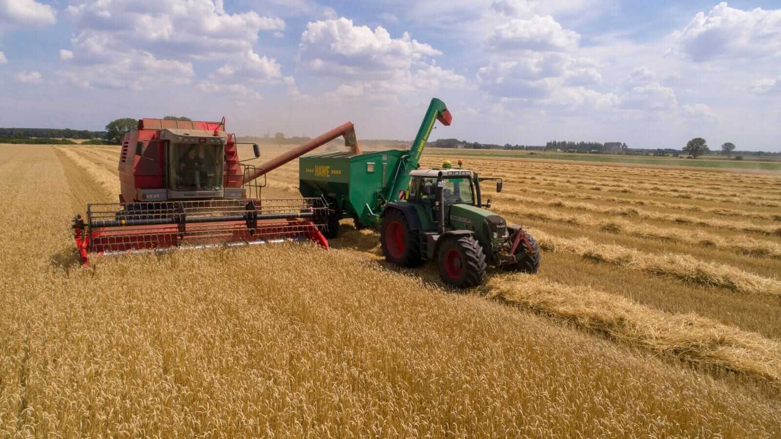 wheat-trading-with-friday-losses