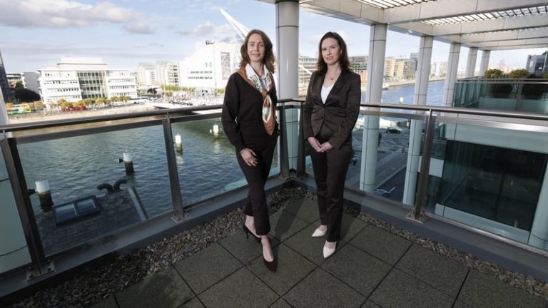 Read more about the article New chair & director appointed to Ibec’s TII trade group