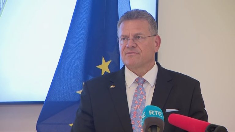 Read more about the article Šefčovič will work ‘extensively’ with Ireland on Mercosur