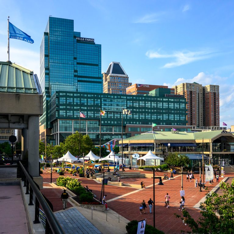 Read more about the article n