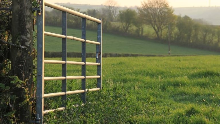 Read more about the article Funding for TB eradication programme doubled in Budget