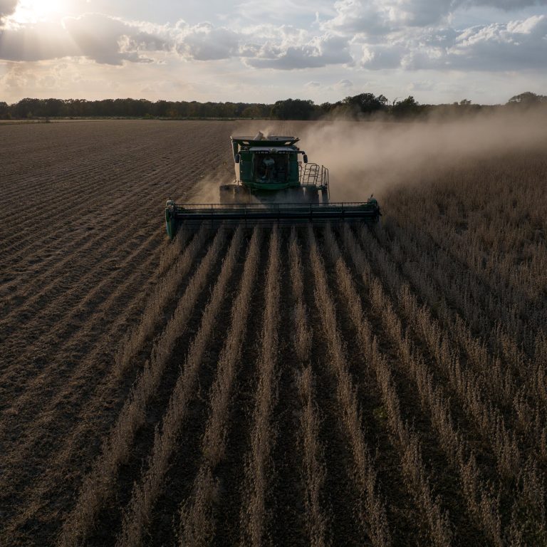 Read more about the article n