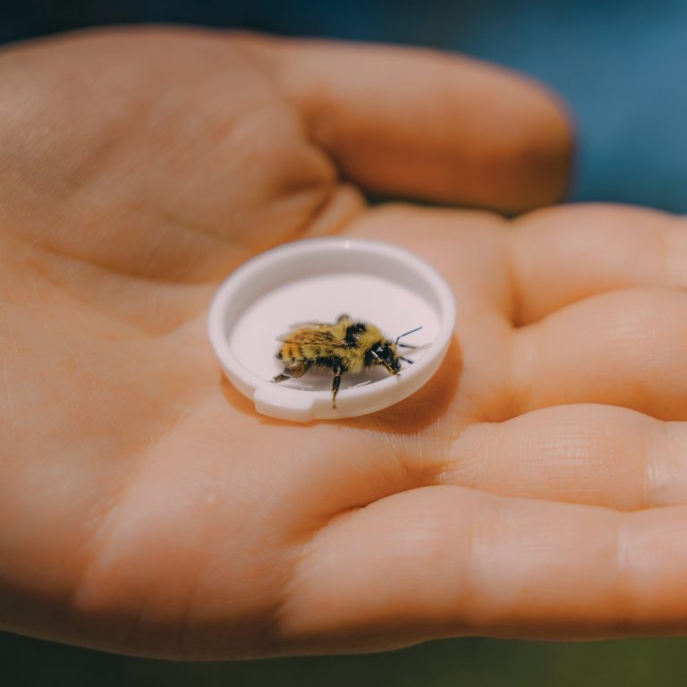 Read more about the article n