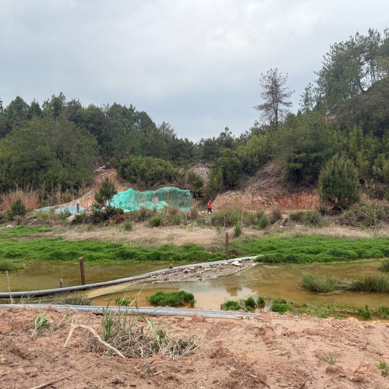 Read more about the article n