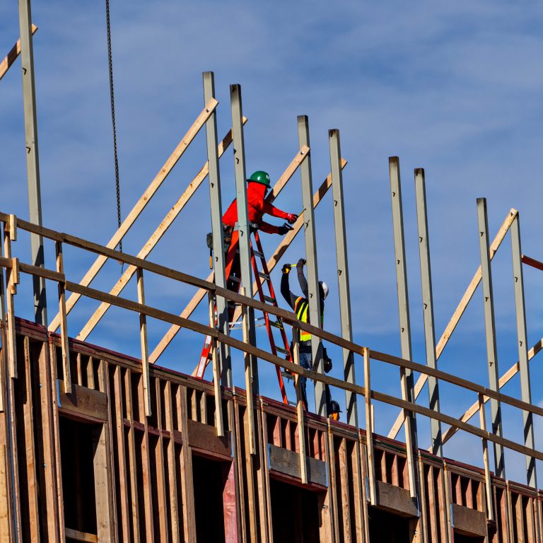 Read more about the article n