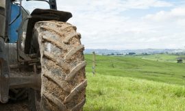 Public consultation on Carbon Farming Framework launched