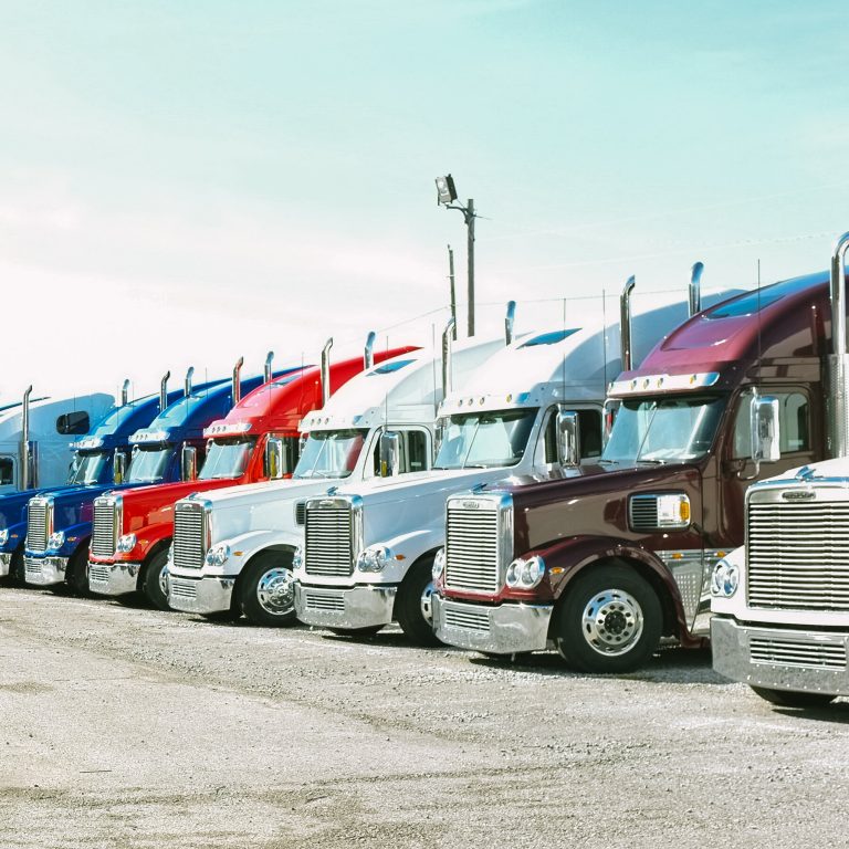 Read more about the article n