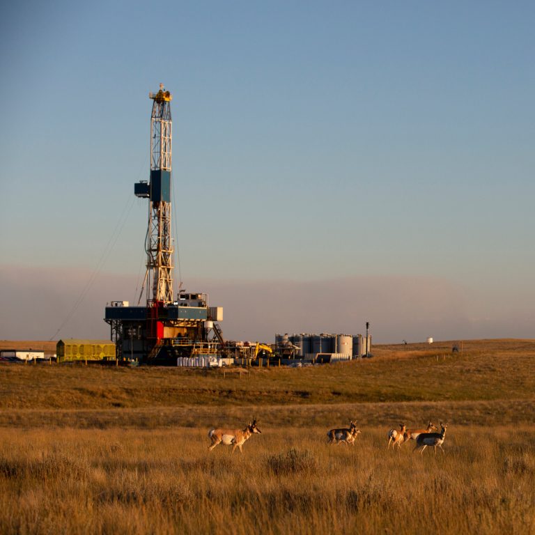 Read more about the article n