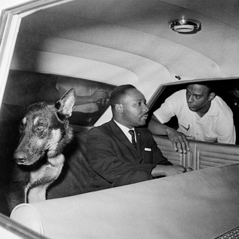 Read more about the article n