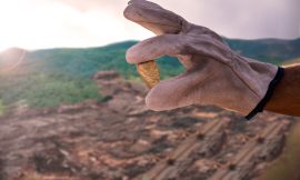 Dollar Climbs and Gold Plunges