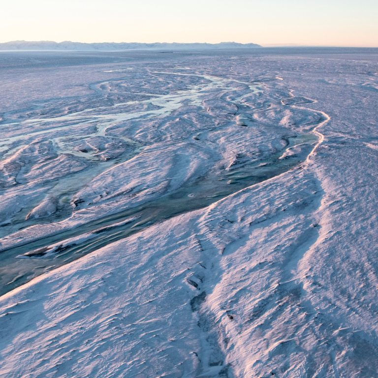 Read more about the article n