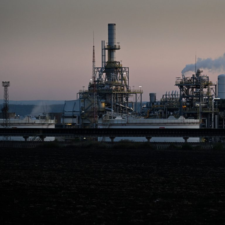 Read more about the article n