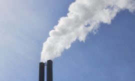 21% of firms investing in climate tech, survey finds