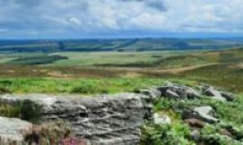 Sir David Attenborough backs bid to buy Rothbury Estate