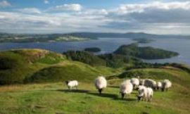 Scottish Parliament passes land reform bill