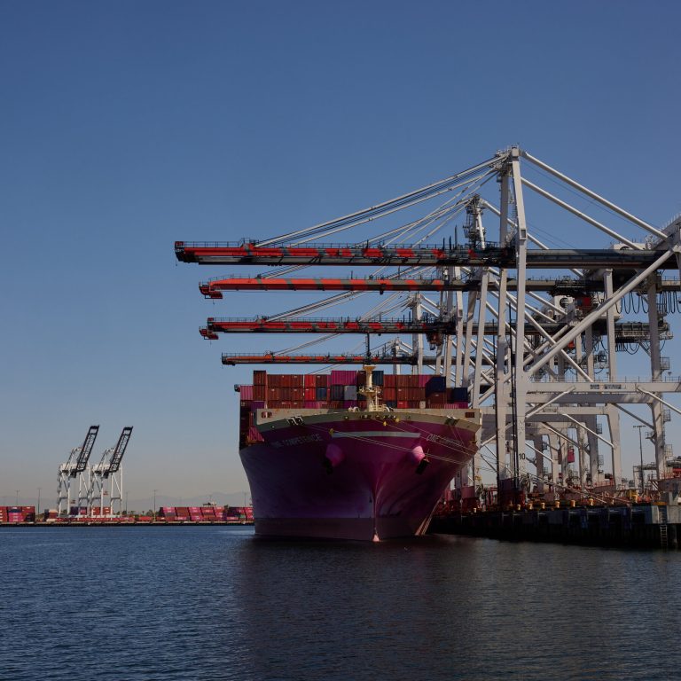 Read more about the article n