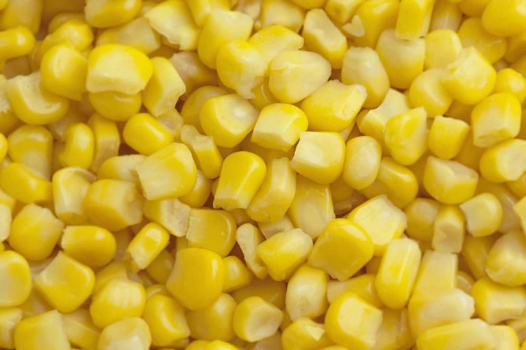 Read more about the article Corn Rallies on Wednesday, Helped by Record Ethanol Output