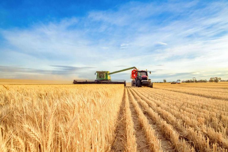 Read more about the article Wheat Seeing Mixed Trade at Midday