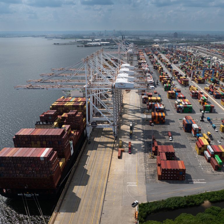 Read more about the article n